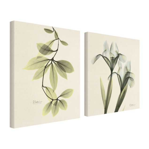 Natuurlijk canvas schilderijen - 2-delig  X-Ray - Hoya Leaves & Iris