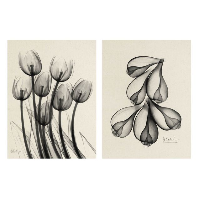Natuurlijk canvas schilderijen - 2-delig  X-Ray - Tulips & Fig Shells