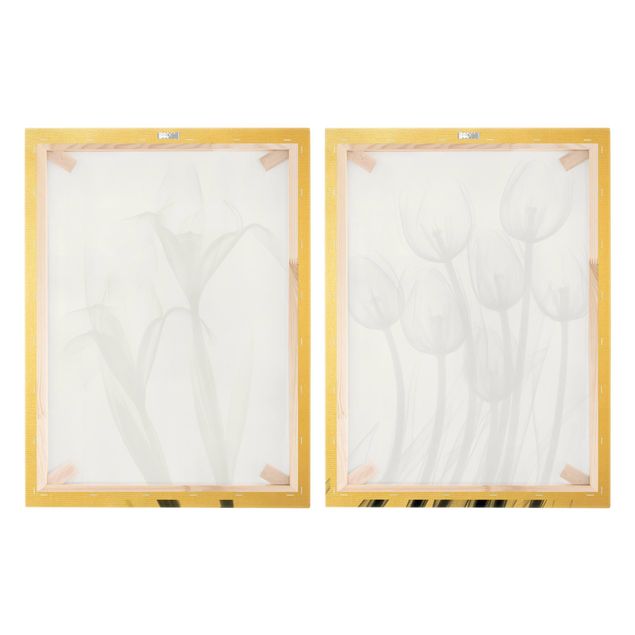 Canvas schilderijen - 2-delig  X-Ray - Tulips & Iris
