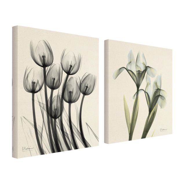 Natuurlijk canvas schilderijen - 2-delig  X-Ray - Tulips & Iris