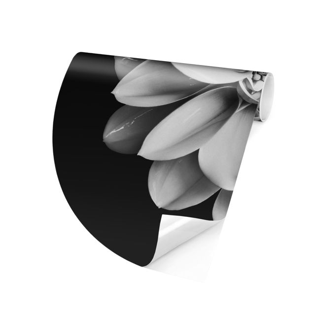 Behangcirkel Delicate Dahlia In Black And White