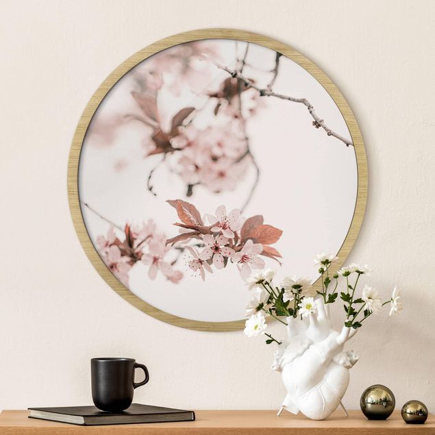 Runde Bilder mit Rahmen Delicate Cherry Blossoms On A Twig