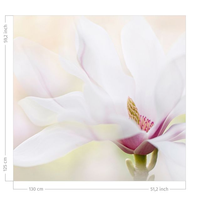 gordijnen bloemen Delicate Magnolia Flowers