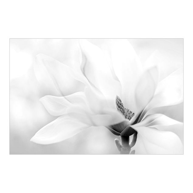 Fotobehang Delicate Magnolia Flowers Black and White