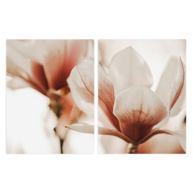 Kookplaat afdekplaten Delicate Magnolia Flowers In An Interplay Of Light And Shadows