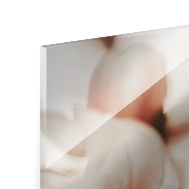 Glasschilderijen Delicate Magnolia Flowers In An Interplay Of Light And Shadows