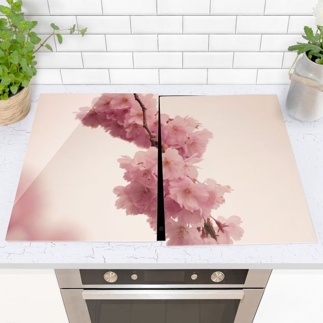 Kookplaat afdekplaten Pale Pink Spring Flower With Bokeh