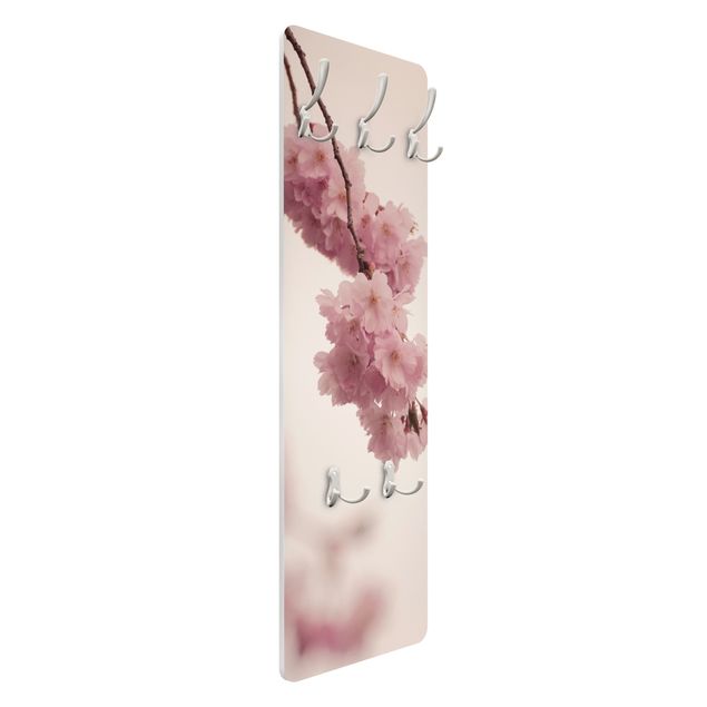 Wandkapstokken houten paneel Pale Pink Spring Flower With Bokeh