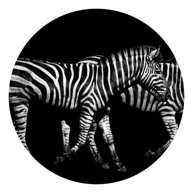 Behangcirkel Zebra In The Dark
