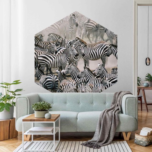 Hexagon Behang Zebra Herd