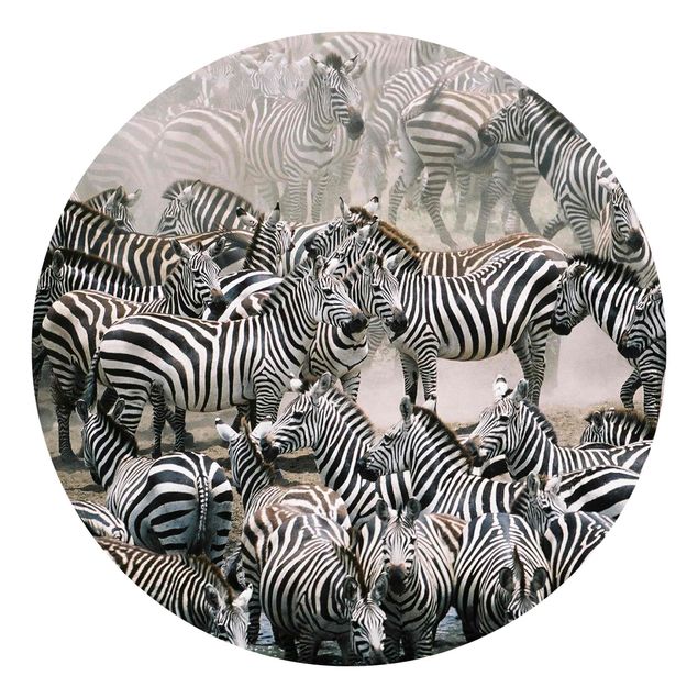 Behangcirkel Zebra Herd