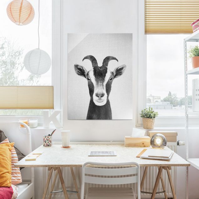 Glasschilderijen - Goat Zora Black And White