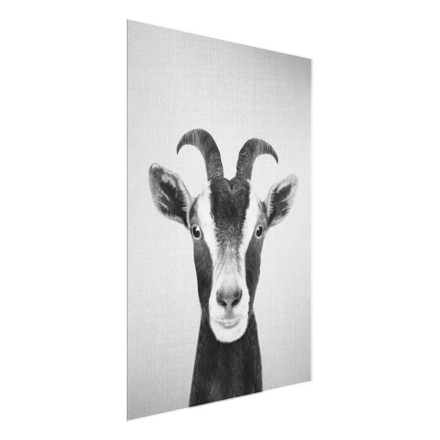 Glasschilderijen - Goat Zora Black And White